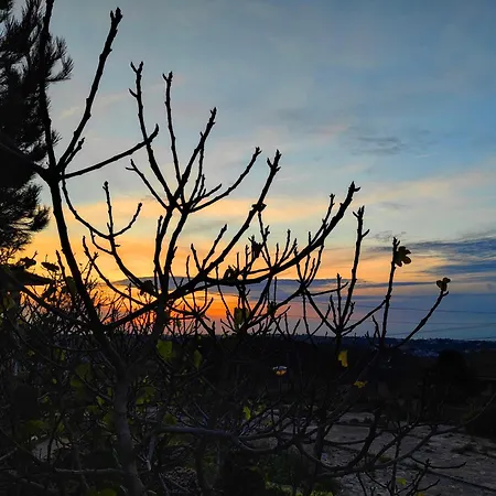 Refugio Da Alma Tatil Evi Mafra