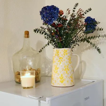 Refugio Da Alma Tatil Evi *