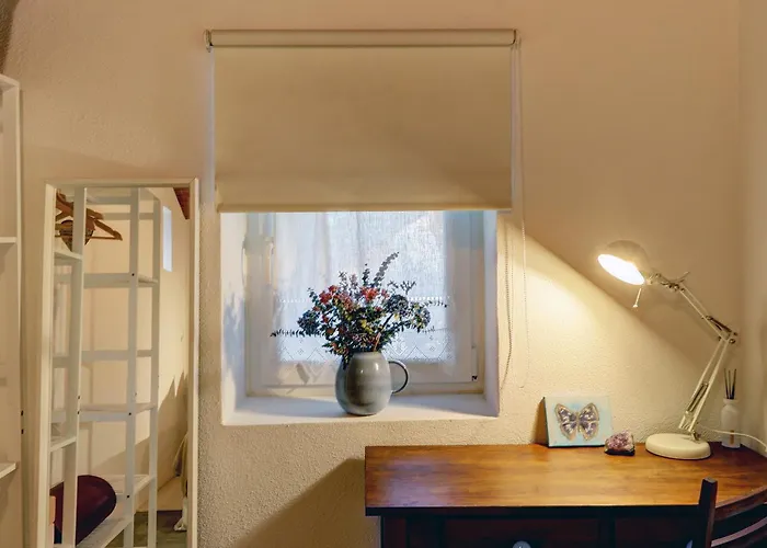 Refugio Da Alma مافرا